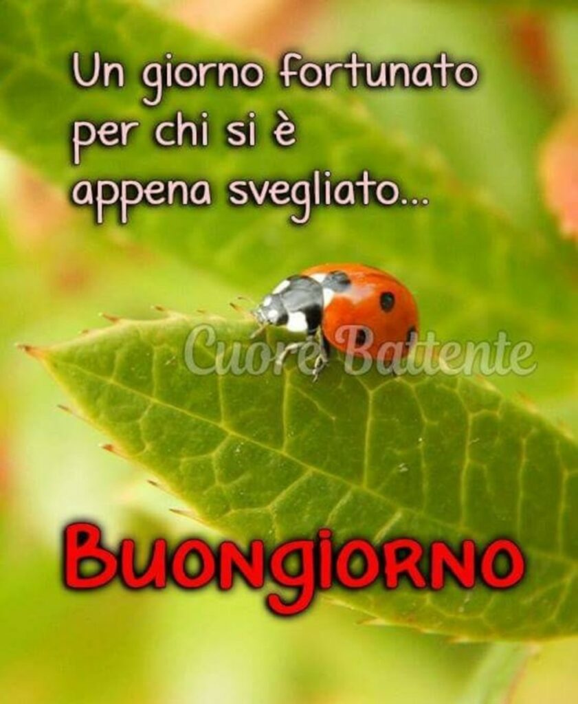 buongiorno-whatsapp-042